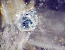 Apatite inclusions in quartz