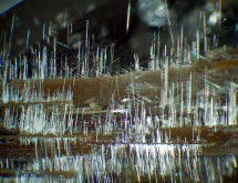 Brookite and rutile inclusions in quartz