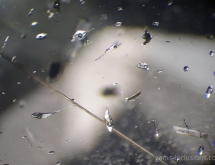 Rutile, calcite and two phase inclusions in quartz