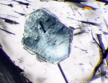 Green mica (or chlorite) pierced by tourmaline needle in quartz