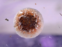 Cristobalite sphere in amethyst