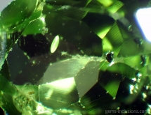 Lily pad and chromite inclusions in peridot