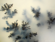 Dendritic agate