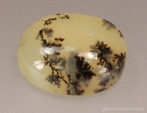 Dendritic opal