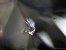 Octahedron diamond inclusion in polished diamond