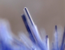 Dumortierite inclusions in quartz