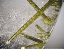 Epidote inclusions in quartz