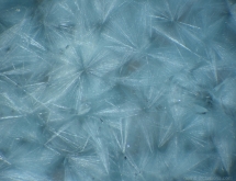 Gilalite inclusions in quartz ("Paraiba quartz")