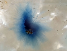 Blue gilalite star in quartz