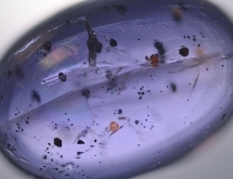 Hematite inclusions in iolite