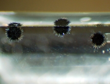 Hollandite in quartz