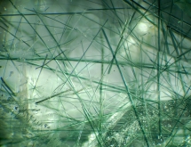 Actinolite in quartz.