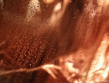 Copper inclusions in Oregon sunstone