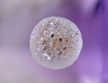 Cristobalite sphere in amethyst