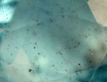 Dendrites of Mn-oxihydroxides in apatite