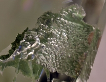 Cavity in aquamarine with negative crystal surface