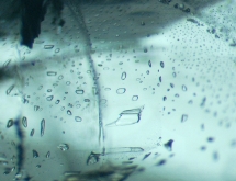 Two-phase inclusions in aquamarine