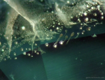 Two phase solid-gaseous inclusions in heat-treated green sapphire