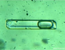 Captured solid particles (not daughter minerals!) inside liquid-vapor inclusion in emerald from the Urals