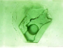 Primary two-phase fluid inclusion located on mica particle in emerald from the Urals, Russia.