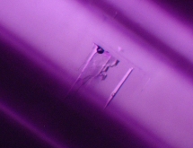 Color zoning and two-phase inclusions in fluorite