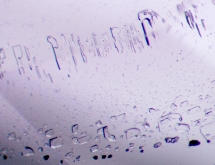 Two-phase inclusions in fluorite