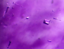 Two-phase inclusions in fluorite