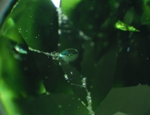 Lily pad inclusions in peridot
