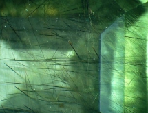 Ludwigite-vonsenite in peridot