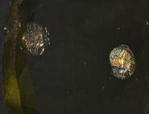 Lily pad inclusions in peridot