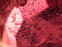 Vitreous inclusions in heat-treated ruby