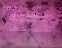 Lead glass filled ruby (composite ruby)