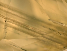 Inclusions in yellow scapolite