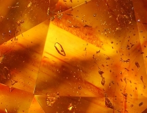 Two-phase inclusions in sphalerite