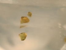 Microlite inclusions in colorless  in topaz