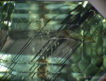 Ludwigite-vonsenite in peridot