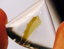 Biotite inclusions in quartz