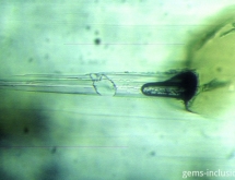Primary two-phase inclusion associated to a trapped protogenetic mica particle on the right.