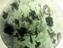 Protogenetic inclusions of mica and chromite in emerald form Brazil