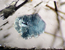 Green mica (or chlorite) pierced by tourmaline needle in quartz
