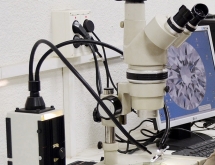 Trinocular microscope Nikon SMZ 10 with photo camera for photomicrography