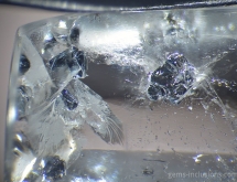 Molybdenite inclusions in quartz