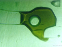 Solid-gaseous inclusion in Russian flux-grown emerald