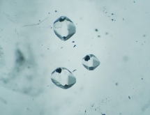 Negative crystals with multi-phase inclusions in quartz