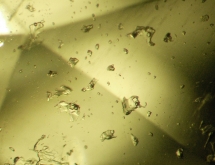 Three-phase inclusions in lemon quartz