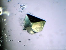 Octahedron pyrite inclusions in quartz