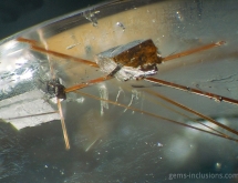 Carbonate and rutile in quartz