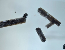 Dark brown dravite inclusions in aquamarine