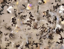 Unknown inclusions in beryl