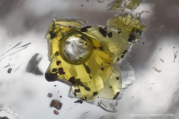 Multi-phase inclusions in Berbes quartz